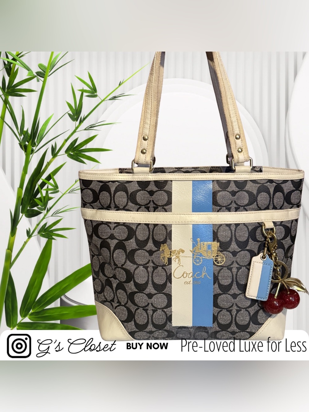Coach Brown Signature Tote with Blue and Cream Stripes